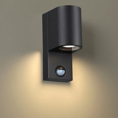 Светильник для уличного освещения с металлическими плафонами чёрного цвета Odeon Light 4390/1W
