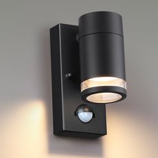 Светильник для уличного освещения с арматурой чёрного цвета Odeon Light 6605/1W