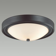 Потолочный светильник Lumion 5260/2C