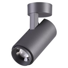 Светильник для уличного освещения с арматурой серого цвета, плафонами серого цвета Novotech 358289