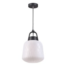 Светильник для уличного освещения с арматурой чёрного цвета, плафонами белого цвета Novotech 370601