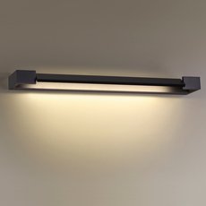 Светильник для ванной комнаты с арматурой чёрного цвета, металлическими плафонами Odeon Light 3888/18WB