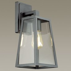 Светильник для уличного освещения с плафонами прозрачного цвета Odeon Light 4169/1W