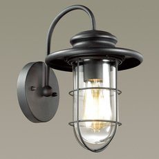 Светильник для уличного освещения с арматурой чёрного цвета, плафонами прозрачного цвета Odeon Light 4171/1W