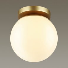 Светильник для уличного освещения с пластиковыми плафонами белого цвета Odeon Light 4247/1C