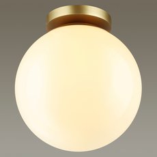 Светильник для уличного освещения с пластиковыми плафонами белого цвета Odeon Light 4248/1C