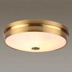 Светильник с арматурой золотого цвета Odeon Light 4824/4C