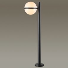Светильник для уличного освещения с арматурой чёрного цвета Odeon Light 4832/1F
