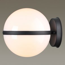 Светильник для уличного освещения с арматурой чёрного цвета, пластиковыми плафонами Odeon Light 4832/1W