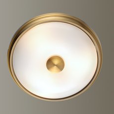 Светильник с арматурой бронзы цвета, стеклянными плафонами Odeon Light 4956/2