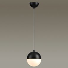 Светильник с арматурой чёрного цвета Odeon Light 4958/1