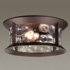 Светильник для уличного освещения с арматурой коричневого цвета, плафонами прозрачного цвета Odeon Light 4961/2C