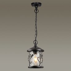 Светильник для уличного освещения с арматурой чёрного цвета, стеклянными плафонами Odeon Light 4963/1