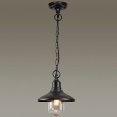 Светильник для уличного освещения с арматурой чёрного цвета, плафонами прозрачного цвета Odeon Light 4965/1