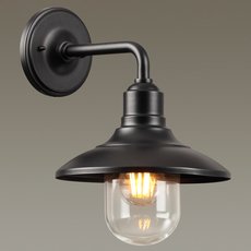 Светильник для уличного освещения с арматурой чёрного цвета, стеклянными плафонами Odeon Light 4965/1W