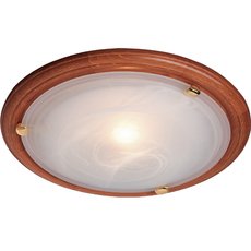 Настенно-потолочный светильник с плафонами белого цвета Sonex 259