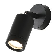Светильник для уличного освещения с плафонами чёрного цвета Favourite 2892-1W