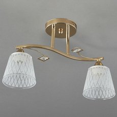 Светильник с стеклянными плафонами Escada 1125/2PL
