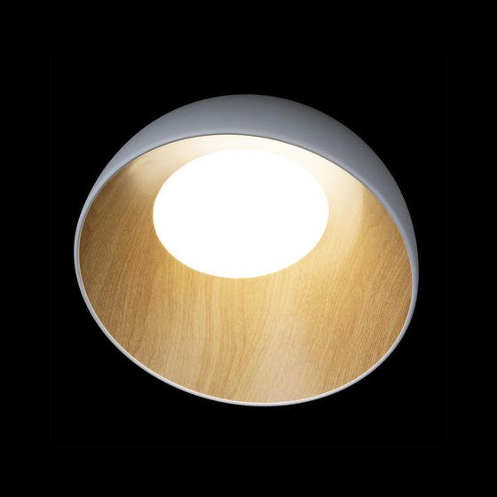 Potolochnyy svetodiodnyy svetilnik loft it egg 10197 350 white 3