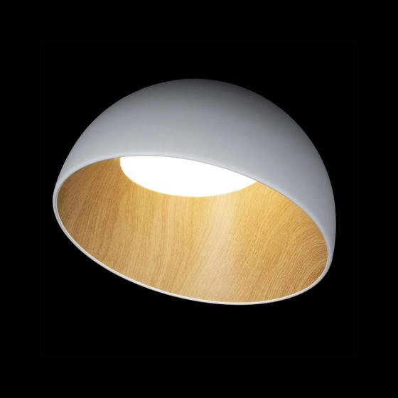 Potolochnyy svetodiodnyy svetilnik loft it egg 10197 350 white 5