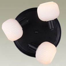 Спот с арматурой чёрного цвета, стеклянными плафонами Moderli V3032-3C