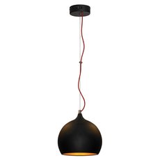 Светильник с арматурой чёрного цвета Lussole GRLSN-6116-01