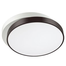 Светильник с арматурой чёрного цвета, плафонами белого цвета Lumion 4509/72CL