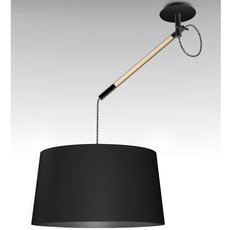 Светильник с арматурой чёрного цвета Mantra 4929