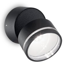 Светильник для уличного освещения с арматурой чёрного цвета, плафонами чёрного цвета Ideal Lux OMEGA AP ROUND NERO 4000K