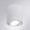 Точечный светильник Arte Lamp(Fang) A5559PL-1WH