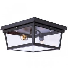 Светильник с арматурой чёрного цвета, плафонами прозрачного цвета Loft IT LOFT3110-2C