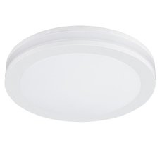 Точечный светильник с плафонами белого цвета Arte Lamp A8431PL-1WH