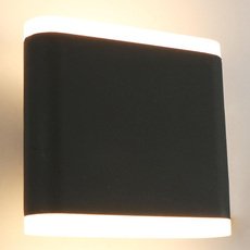 Светильник для уличного освещения с арматурой чёрного цвета, плафонами белого цвета Arte Lamp A8153AL-2GY