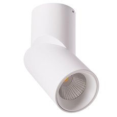 Точечный светильник с арматурой белого цвета, металлическими плафонами Arte Lamp A7717PL-1WH