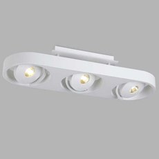Светильник с плафонами белого цвета Donolux DL18697/13WW-White