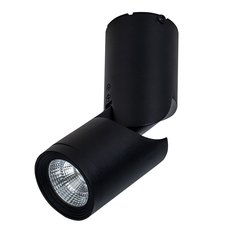 Точечный светильник с арматурой чёрного цвета Maytoni C019CW-01B4K