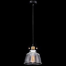 Светильник с арматурой чёрного цвета Maytoni T163-11-W