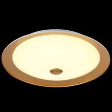 Светильник с арматурой золотого цвета Maytoni CL815-PT50-G