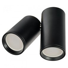 Точечный светильник с металлическими плафонами IMEX IL.0005.5000-2