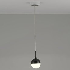 Светильник с арматурой чёрного цвета Moderli V2830-1PL