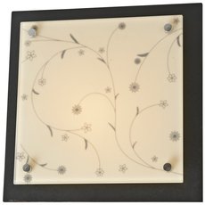 Настенно-потолочный светильник с стеклянными плафонами белого цвета Velante 630-721-01
