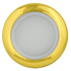 Точечный светильник с арматурой золотого цвета Fametto DLS-A201 GU5.3 IP44 GOLD