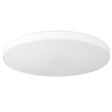 Светильник с арматурой белого цвета Simple Story 1204-LED48CL