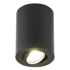 Точечный светильник с арматурой чёрного цвета Simple Story 2037-1CLB