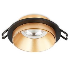 Точечный светильник с плафонами золотого цвета Simple Story 2066-1DLBG