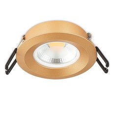 Точечный светильник с арматурой золотого цвета, металлическими плафонами Simple Story 2072-1DLG