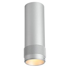Точечный светильник с арматурой серебряного цвета, плафонами серебряного цвета Favourite 2454-1C