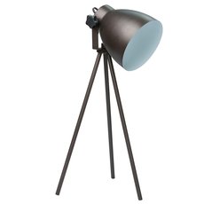 Настольная лампа с металлическими плафонами Regenbogen LIFE 497032501