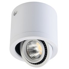 Точечный светильник с арматурой белого цвета Regenbogen LIFE 637017101