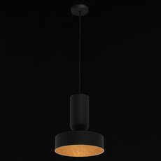Светильник с арматурой чёрного цвета, плафонами чёрного цвета Regenbogen LIFE 452015501